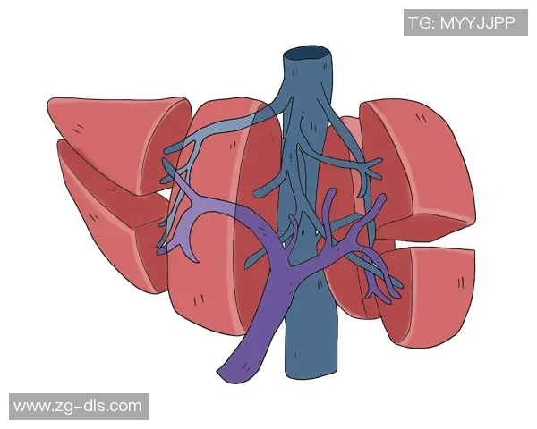 杨静畅谈CSGO职业生涯与游戏发展历程的深度回顾与思考