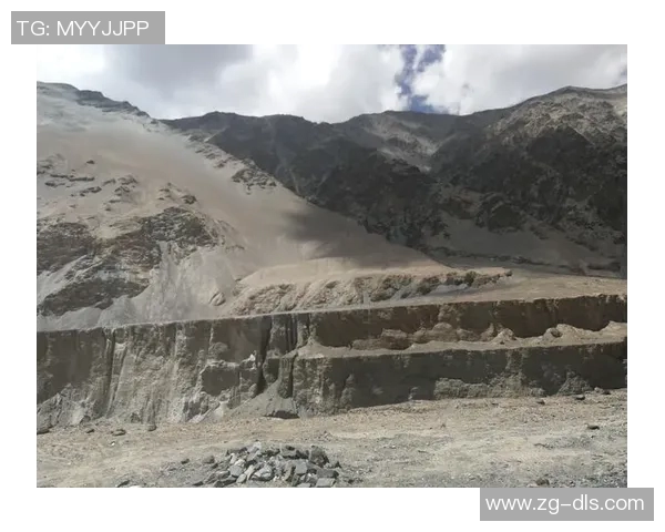 深度探讨杨强在CSGO中的成长与挑战之路